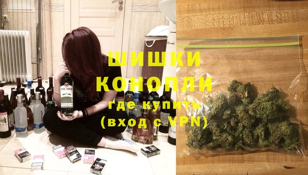 дмт Переславль-Залесский