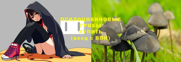 кокс Абаза